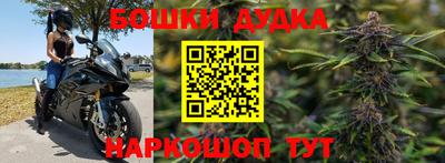 индика Будённовск