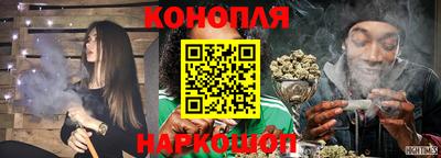индика Будённовск