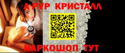 индика Будённовск