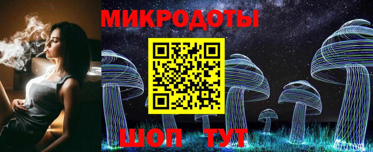 Галлюциногенные грибы Psilocybe Осинники
