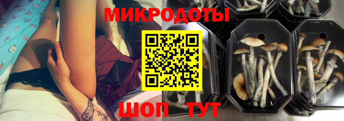 Галлюциногенные грибы MAGIC MUSHROOMS  Вход с VPN  купить наркотик  Псилоцибиновые грибы MAGIC MUSHROOMS  Осинники 